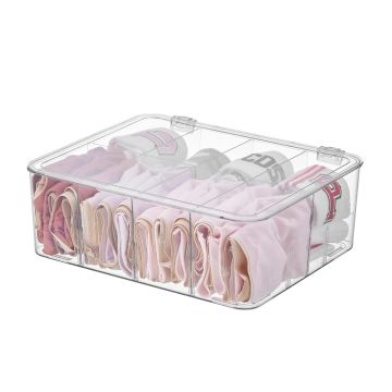 Clear Underwear Storage Box Divider with Lid